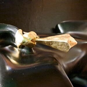 Carol Dauplaise Earrings